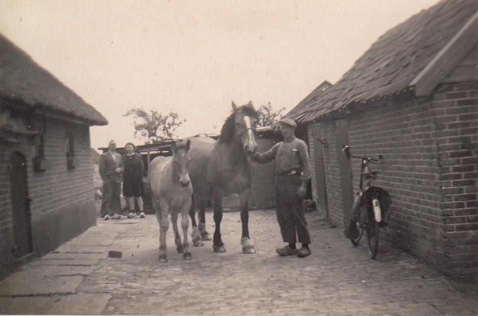 Plaatje bij verhaal: vader_met_paard_en_veulen_tussen_schuur_en_huis_1958.jpg