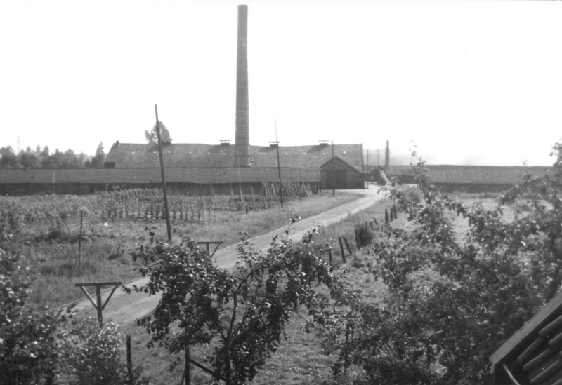22-4 - plaatje_106_HG31-4 Borne-Steenfabriek Morselt in de zomer.JPG