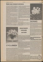 Bekijk detail van "De Toren 23/1/1985 pagina 36 van 64<br xmlns:atlantis="urn:atlantis" />"