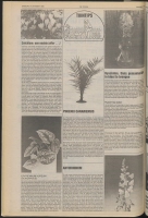 Bekijk detail van "De Toren 14/10/1986 pagina 28 van 36<br xmlns:atlantis="urn:atlantis" />"
