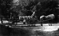 Bekijk detail van "Melkrijder Jans Steggink met zijn paard en wagen op het Springendal."