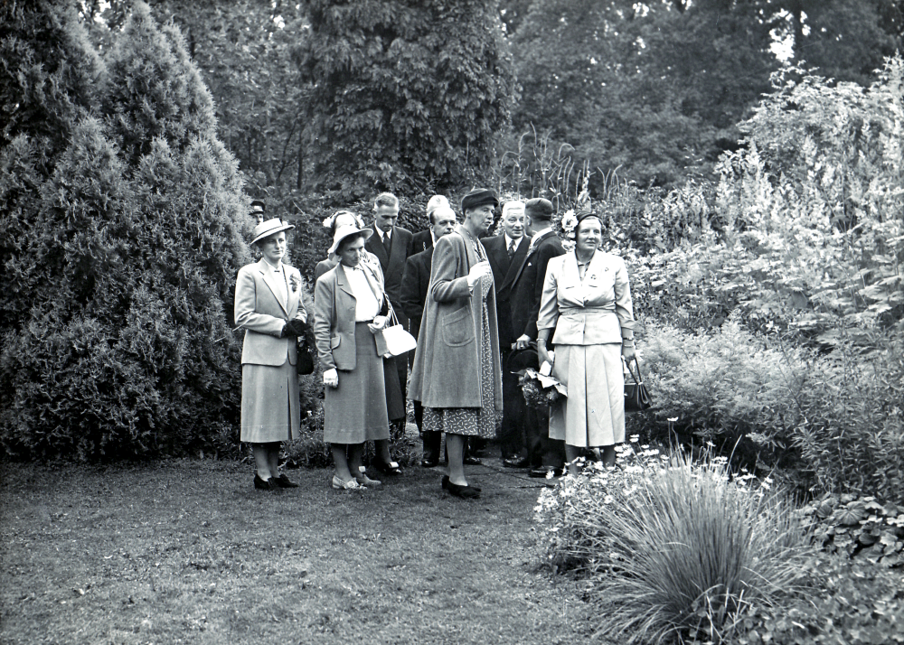Bekijk detail van "GH03510: Het Bezoek van H.M. Koningin Juliana, aan de Koninklijke kwekerij Moerheim in Dedemsvaart, op 2 augustus 1950."