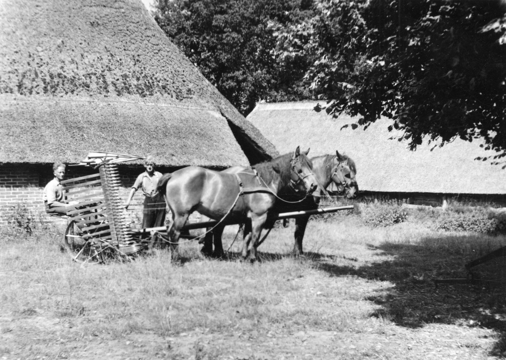 Bekijk detail van "GH02035: Gras maaien.Twee paarden trekken een gras- en graanmaaimachine."