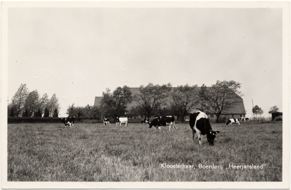 Bekijk detail van "GH01428: Ontginningsboerderij 'Heerjansland' in Kloosterhaar"