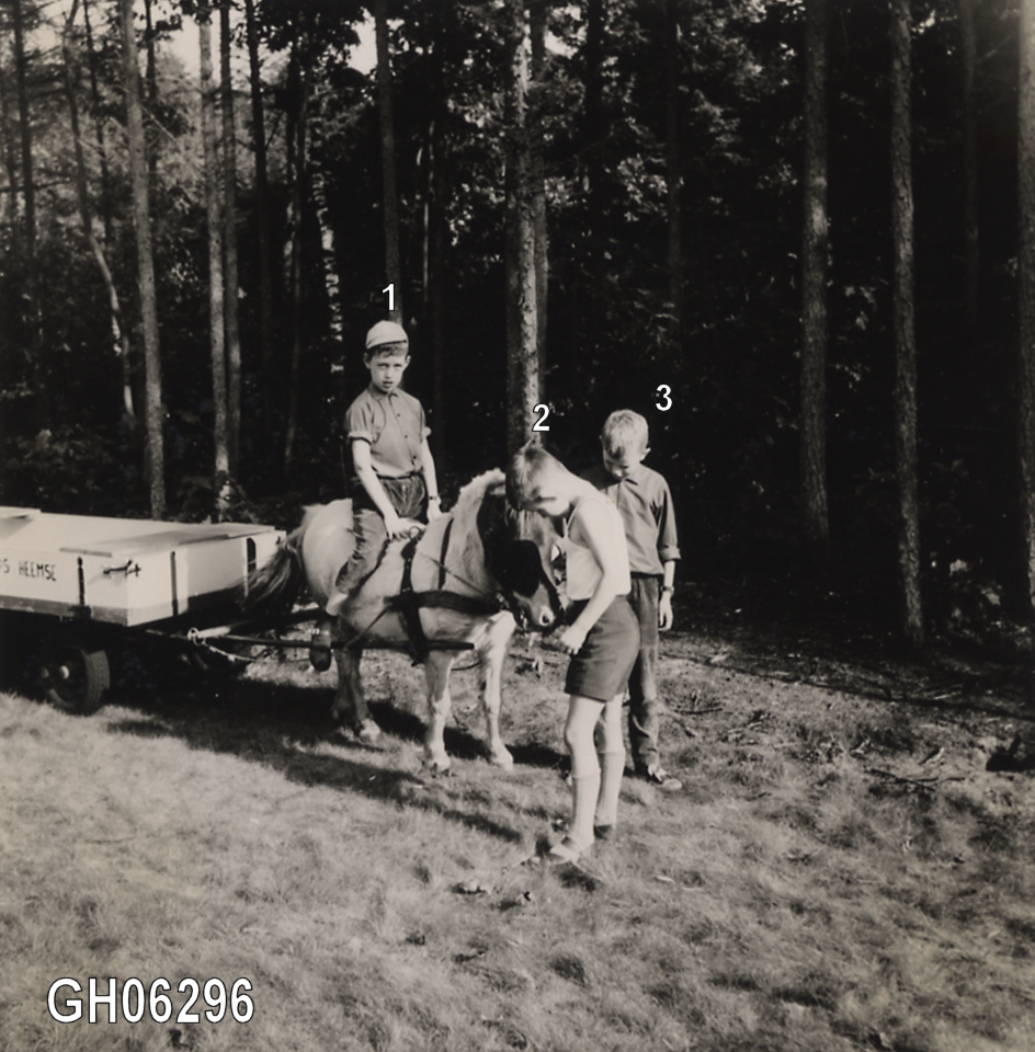 Bekijk detail van "GH06296: Pony-verhuur Lennips uit Heemse, een ritje in de Staatsbossen nabij Heemse en Hardenberg."