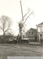 Bekijk detail van "Bomen kappen bij huize Moerheim"