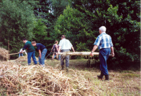 Bekijk detail van "Vrijwilligers helpen bij het handmatig hooien van het weiland aan het Appellaantje: het hooi wordt afgevoerd op laddertjes."
