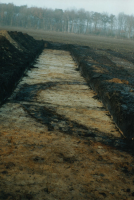 Bekijk detail van "Openleggen van een grafveld met kringgreppels uit de Prehistorie aan de Opperveldsweg in Agelo."