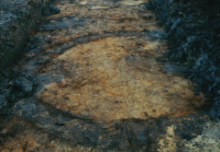 Bekijk detail van "Openleggen van een grafveld met kringgreppels uit de Prehistorie aan de Opperveldsweg in Agelo."