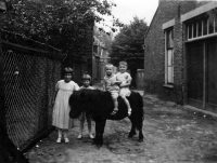 Bekijk detail van "De kinderen Koopmans op een pony achter hun huis in de Kapelstraat."