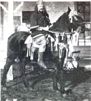 Bekijk detail van "Historische optocht ter gelegenheid van het kerkelijk eeuwfeest in 1909: Muurlink, als koning Odemarus de stichter van Ootmarsum, gezeten te paard."