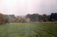 Bekijk detail van "Panorama in herfsttinten vanaf de Kuiperberg."