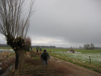 Bekijk detail van "Vrijwilligers en leden van Natuur en Milieu Ootmarsum tijdens een natuurwerkdag in de Ottershagen."