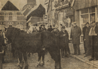Bekijk detail van "Paardenhandelaren op de veemarkt 's vrijdagmorgens met de kermis."