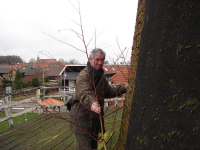 Bekijk detail van "Guus Brons hoog op de omloop van de molen van Oude Hengel."