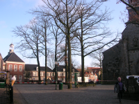 Bekijk detail van "Het Kerkplein met de oude eiken."