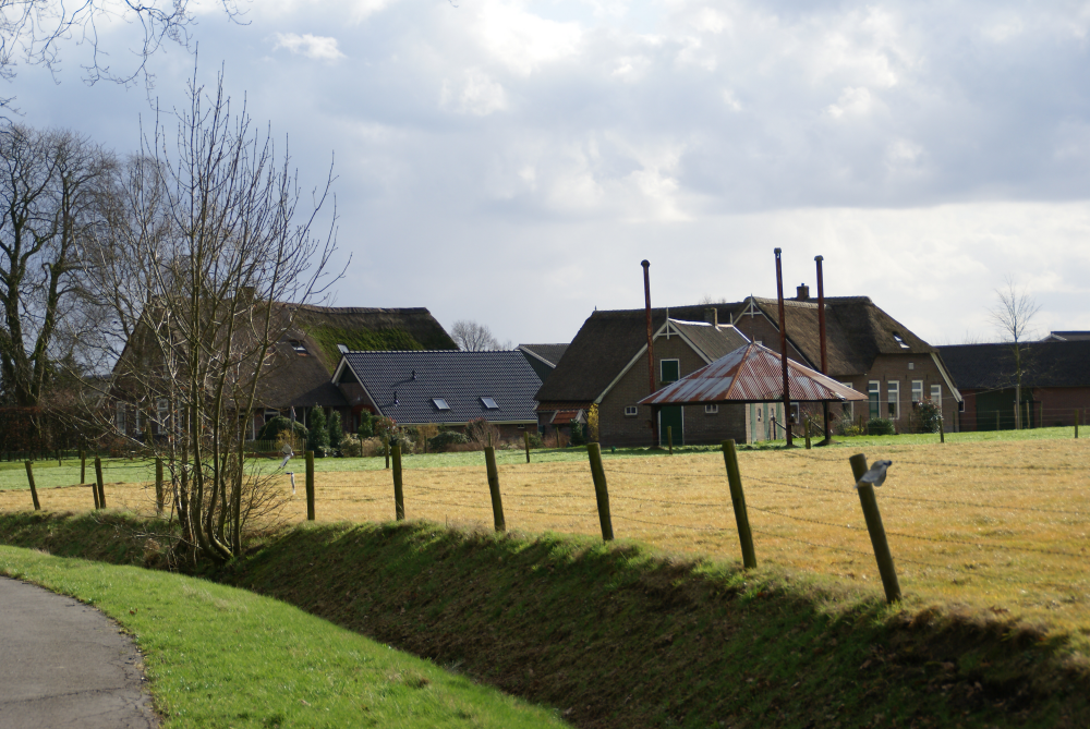 Bekijk detail van "HV00463: Boerderij op de hoek van de <span class="highlight">Grote</span> <span class="highlight">Esweg</span> - Rheezerweg in Diffelen."