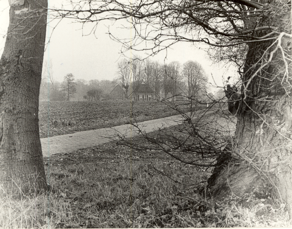 Bekijk detail van "HV00558: Boerderij op het landgoed De groote Scheere in <span class="highlight">Holthone</span>."