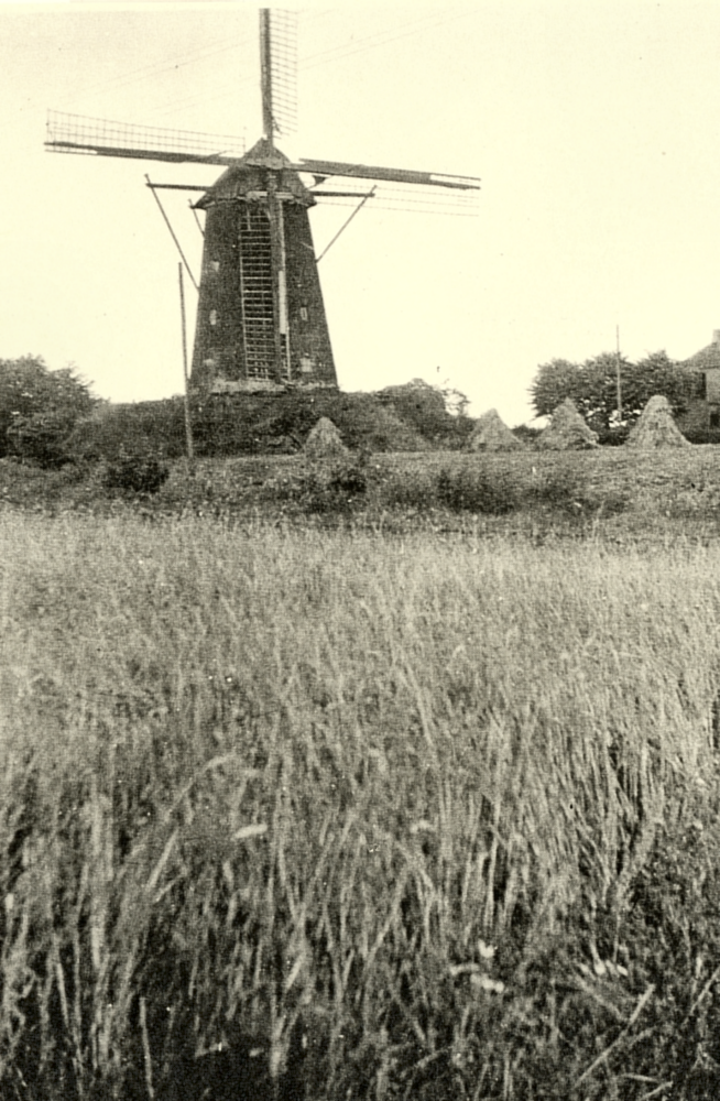 Bekijk detail van "HV00583: Haarmolen , met wieken."