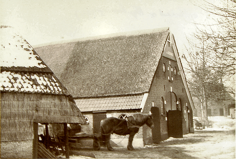 Bekijk detail van "HV00721: Achterzijde Boerderij 'Nijenhuis' in Diffelen."