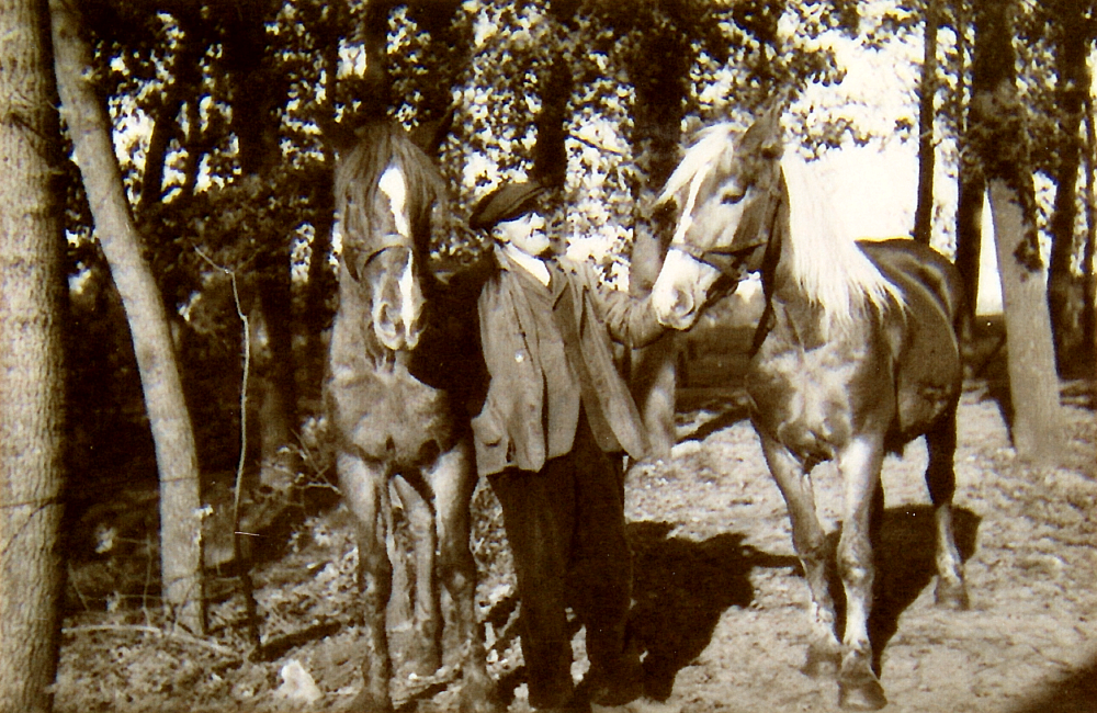 Bekijk detail van "HV00729: Onbekende familiefoto."