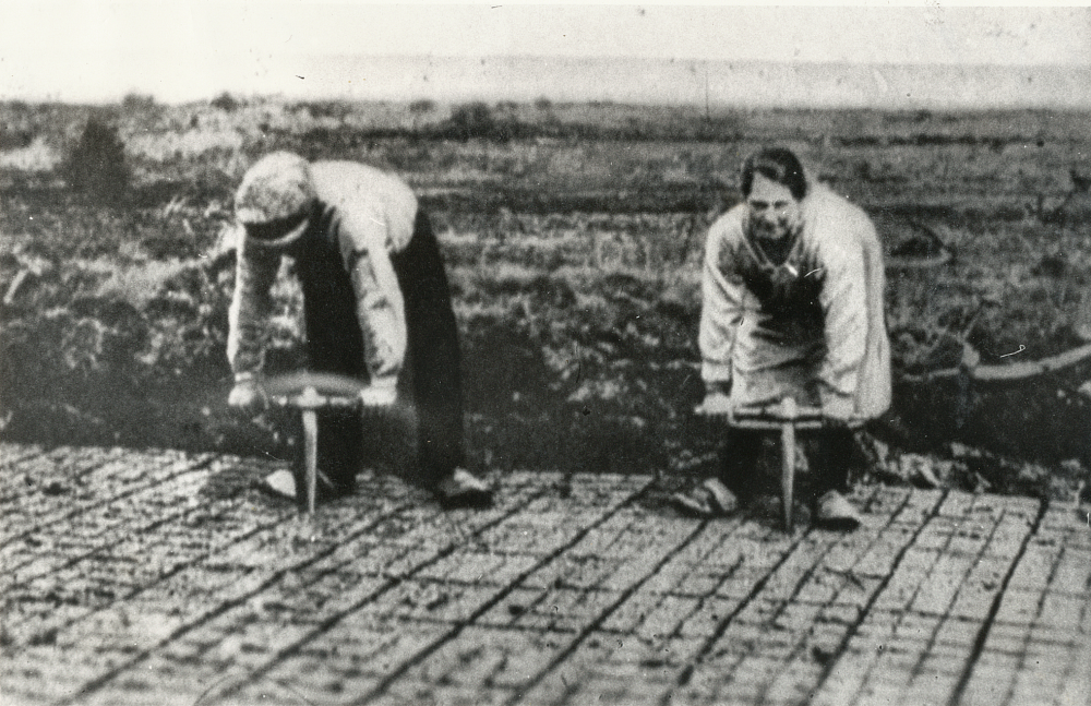 Bekijk detail van "HV02398: Een echtpaar in Bergentheim bij het steken van de baggerlaag tot korte turf (zgn. sponturf)."