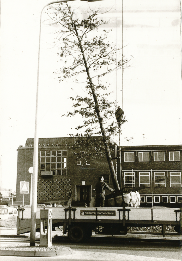 Bekijk detail van "HV03080: Het Planten van bomen op het <span class="highlight">Stephanusplein</span> in Hardenberg."