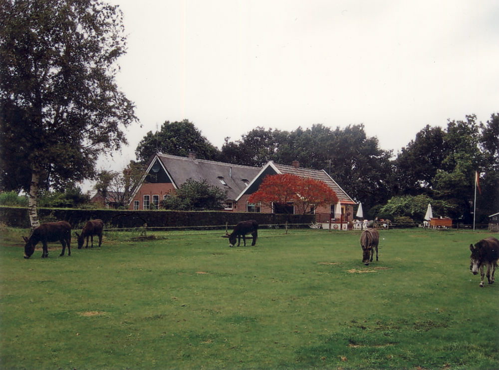Bekijk detail van "HV03656: De Palingboerderij en minicamping "De Ezelshof" van Geert Wolbers aan de Westeindigerdijk in Loozen."