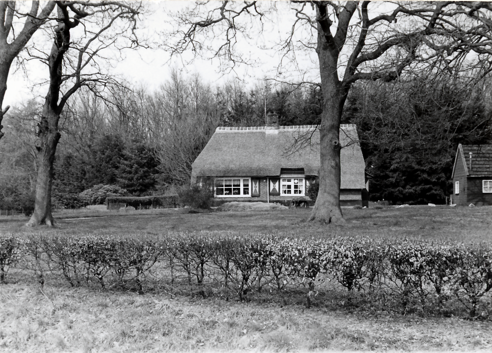 Bekijk detail van "HV04035: Boerderij aan de <span class="highlight">Groenedijk</span> 17, in Kloosterhaar - Langeveen."