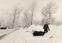 Bekijk detail van "HV04214: Hendrik Warmink is kuilvoer aan het  ophalen in de winter"