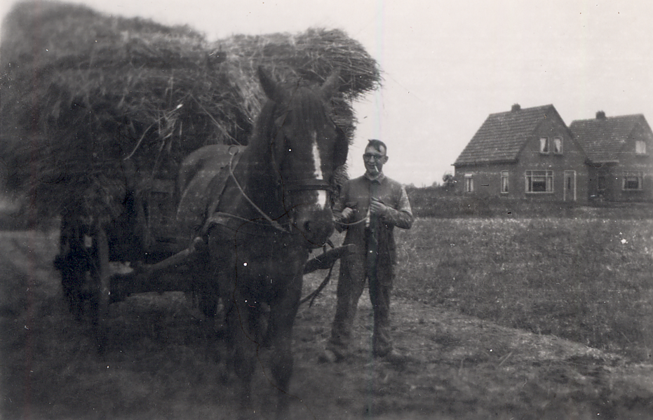 Bekijk detail van "HV04540: Het Binnenhalen van de rogge met paard en wagen."