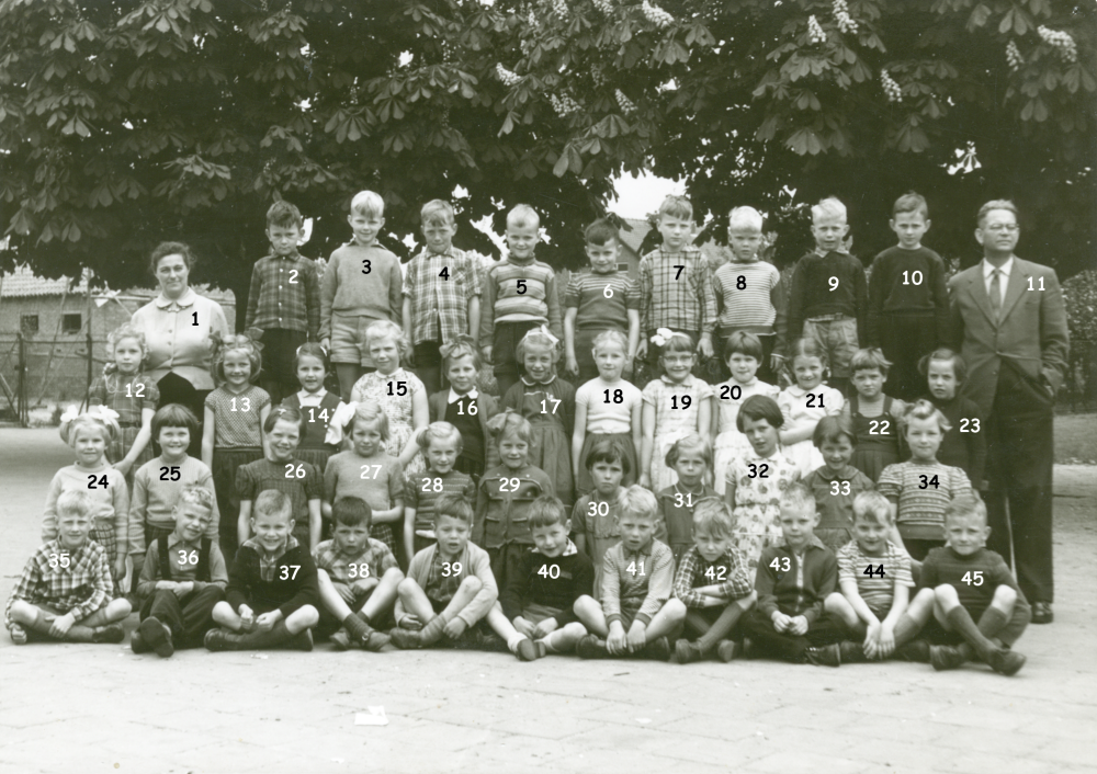 Bekijk detail van "HV05433: Klas ? van de Christelijke Nationale Basisschool 'De Kastanjehof', in Hardenberg."