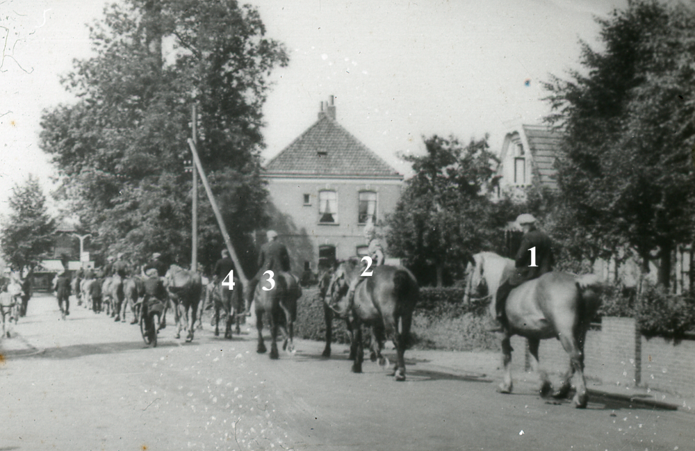 Bekijk detail van "HV06008:  Paardenkeuring in Hardenberg ten bate van het Nederlandse leger, enkelen met berijder."
