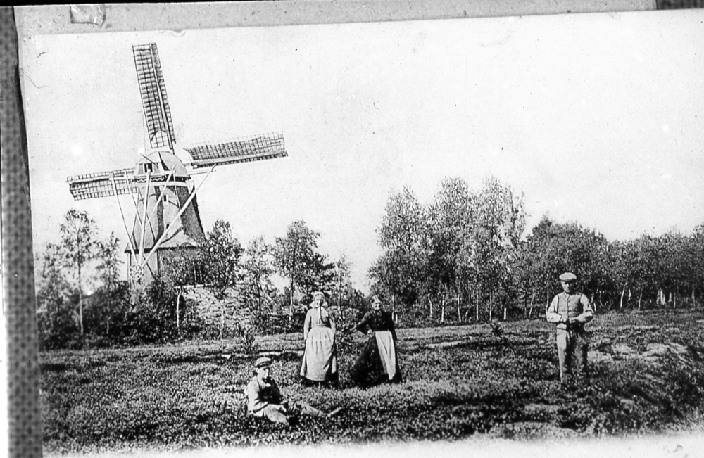 Bekijk detail van "HV06894: De Korenolen 'Windlust' in Radewijk."