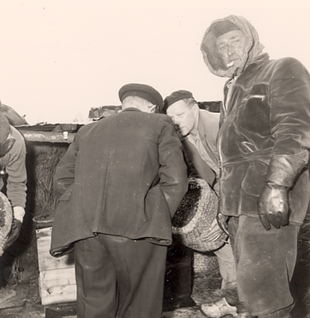 Bekijk detail van "HV08381B: Dichter van Laar uit Lutten, op excursie bij de imker."