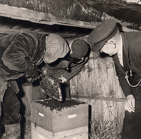 Bekijk detail van "HV08381C: Dichter van Laar uit Lutten, op excursie bij de imker."