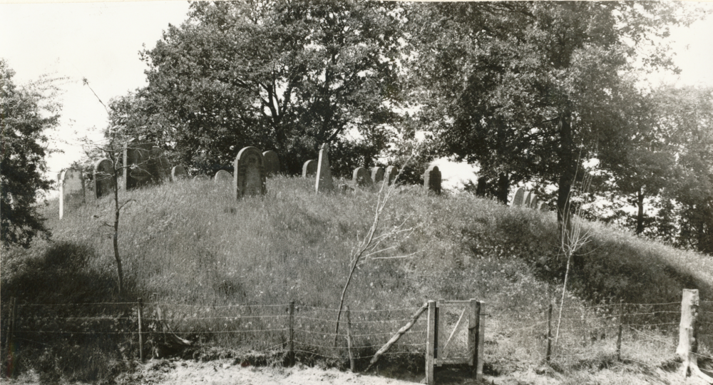 Bekijk detail van "HV08579: Het <span class="highlight">Jodenbergje</span> (Joodse begraafplaats) nabij de Vecht in Hardenberg."