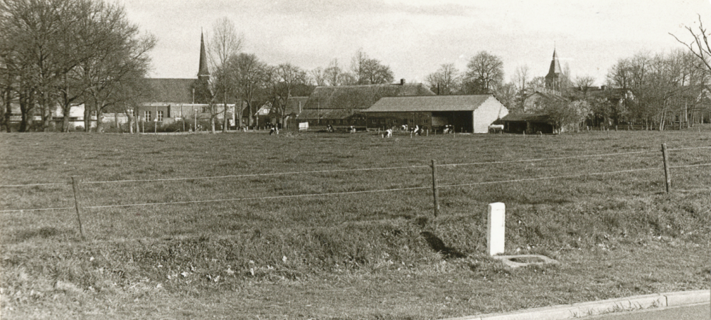 Bekijk detail van "HV09298: Gezicht op de Geref. Kerk vrijgemaakt en de weidegrond in Heemse."