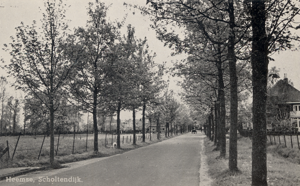 Bekijk detail van "HV09777: De Scholtensdijk in Heemse."