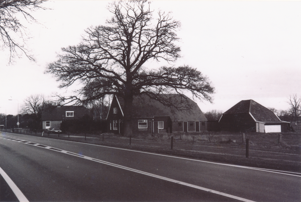 Bekijk detail van "HV11726: De <span class="highlight">Haardijk</span> in Heemse, richting Lutten."