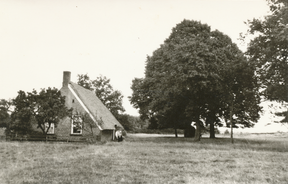 Bekijk detail van "HV11749: Boerderij  aan de <span class="highlight">Groenedijk</span> 17, in Kloosterhaar - Langeveen."