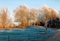 Bekijk detail van "Een grafheuvel op het <span class="highlight">Springendal</span> in het winters landschap."