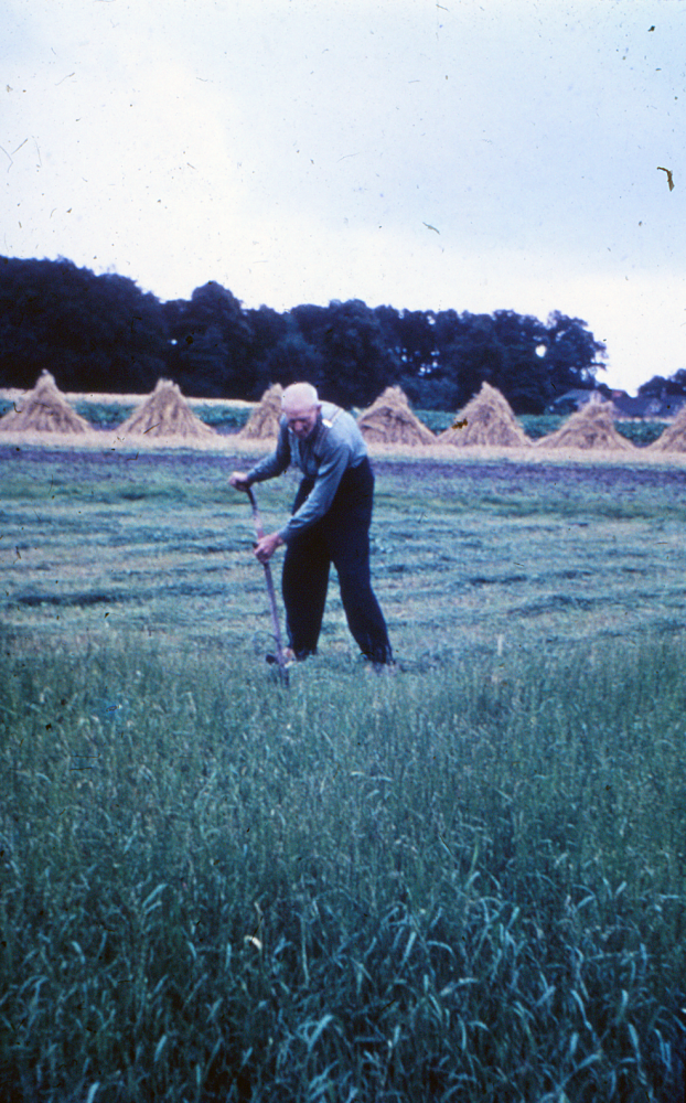 Bekijk detail van "HV100122: Evert Jan Stoeten uit Rheeze, aan het grasmaaien met zeis."