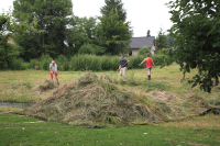 Bekijk detail van "Leden van de stichting Natuur en Milieu en vrijwilligers helpen bij het handmatig hooien van het weiland aan het Appellaantje."