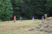 Bekijk detail van "Leden van de stichting Natuur en Milieu en vrijwilligers helpen bij het handmatig <span class="highlight">hooien</span> van het weiland aan het Appellaantje."