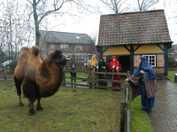 Bekijk detail van "Figuranten spelen hun rol tijdens het Bijbels kerstspel van het Openluchtmuseum."