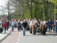 Bekijk detail van "Grote groep Ootmarsummers met de paaswagens lopend op weg naar het Springendal om paashout te halen."