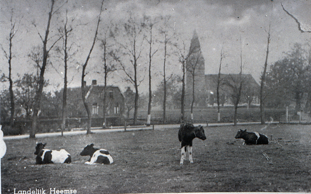 Bekijk detail van "HV100255: De Weidebuurt te Heemse."