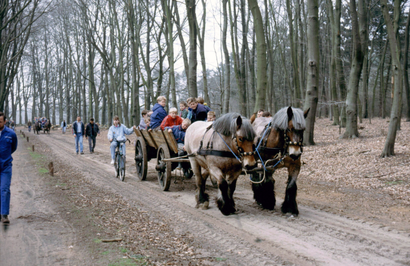 Bekijk detail van "De wagen van vrachtboer Aarnink op de Mosbeekweg."