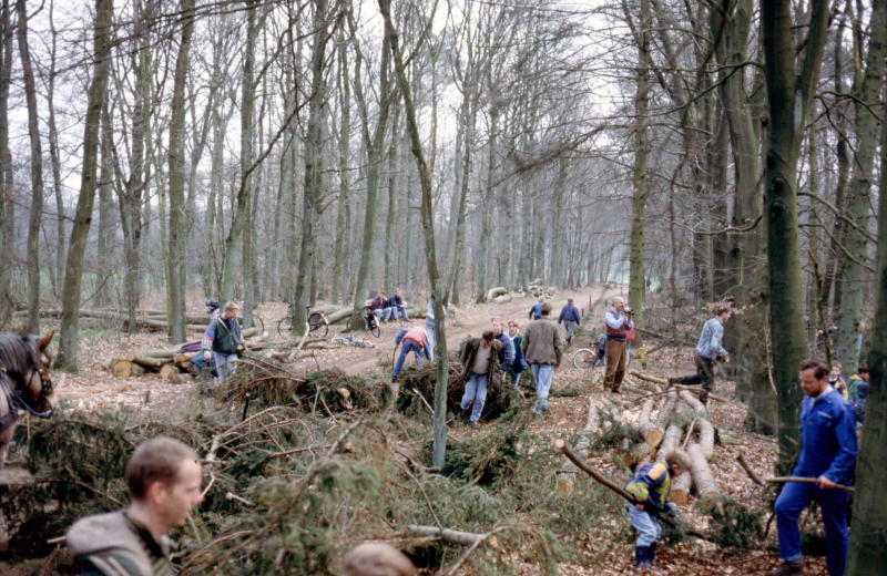 Bekijk detail van "Het Paashout wordt uit het bos gesleept."